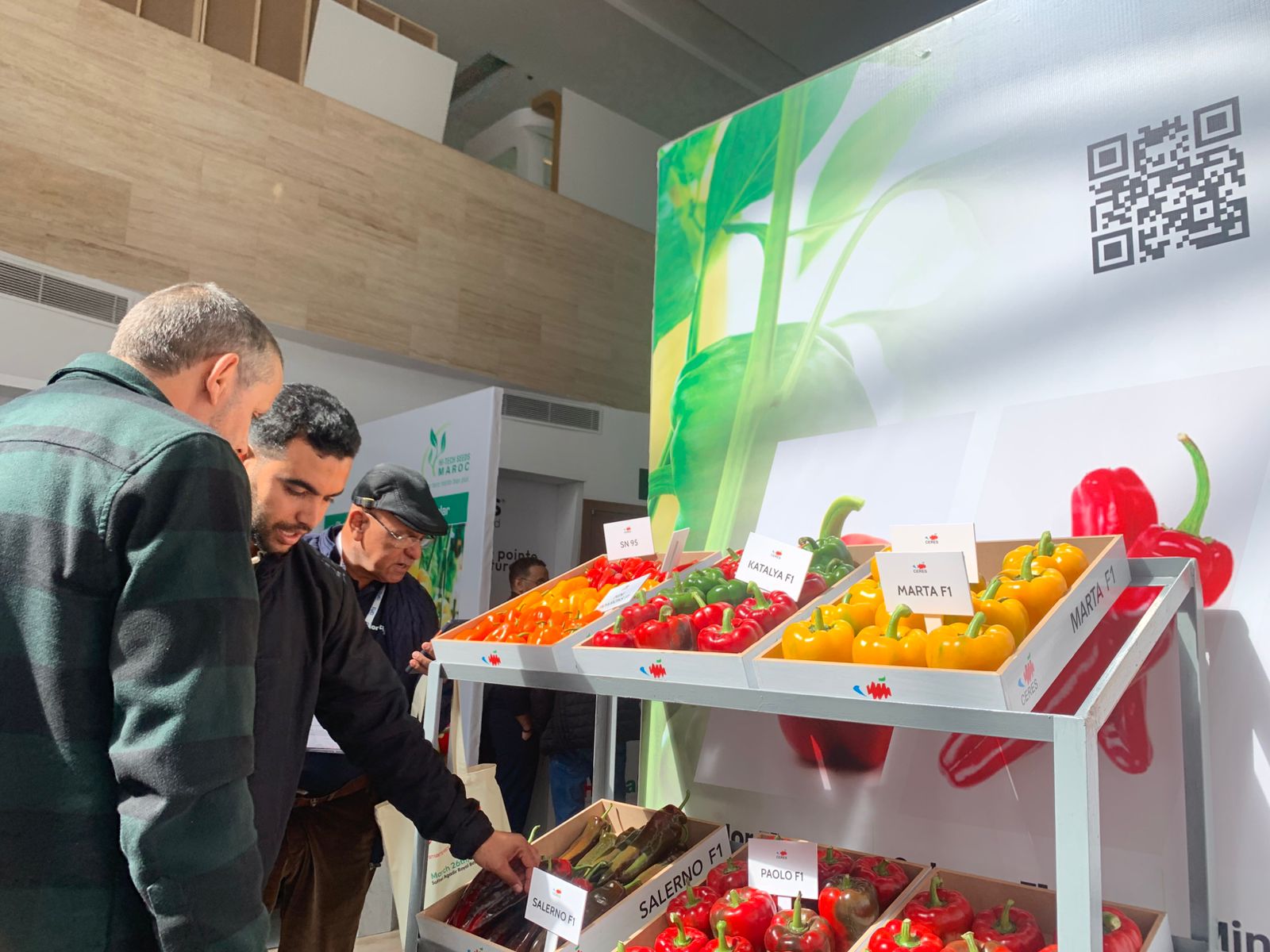 Ceres Pepper Varieties